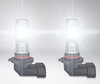 LED-lampor H10 Osram LEDriving Standard för dimljus fungerar