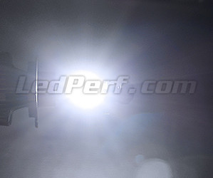 LED H11 LED-lampor med Hög Effekt motorcykel skoter och fyrhjuling