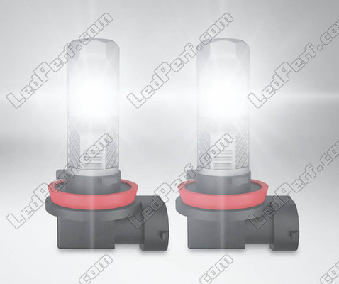 LED-lampor H11 Osram LEDriving Standard för dimljus fungerar