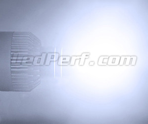 LED-återgivning H7 för VW-fordon Audi Skoda Seat Porsche och Mercedes
