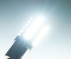 Belysning lampa P21/5W LED (BAY15D) Ultimate Ultra kraftfull