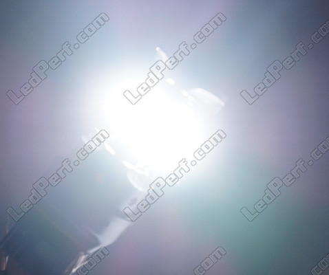 W21/5W LED Ghost-serien belysning vit