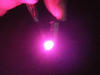 SMD-LED TL rosa mätare och instrumentbräda bil - PLCC-2 - 3528