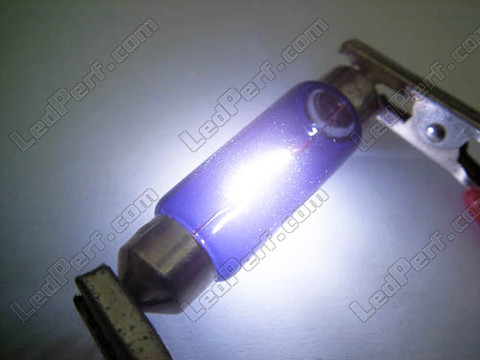 lampa 42 mm C10W Halogen Blue vision Xenon effekt LED