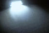 LED-Spollampa takbelysning, bagageutrymme, handskfack, skyltbelysning vit 31mm - C3W