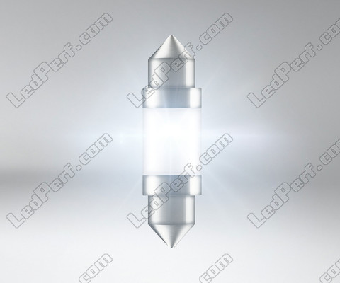 Belysning LED-spollampa Osram LEDriving SL 36 mm C5W - Vit 6000K - 6418DWP-01B