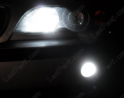 Paket med LED-lampor dimljus Xenon för BMW 3-Serie (E46)