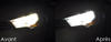LED-lampa Helljus Citroen C4 II