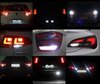LED Backljus Ford Tourneo courier Tuning
