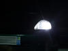 LED-lampa parkeringsljus xenon vit Honda Civic 6G