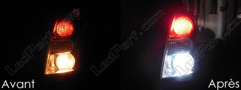 LED-lampa Backljus Toyota Corolla Verso