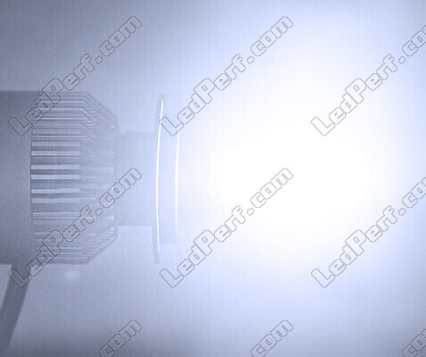 COB LED-kit All in One CFMOTO Terracross 625 (2011 - 2013)
