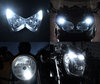 LED parkeringsljus xenon vit Kawasaki Versys-X 300 Tuning