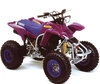 Fyrhjuling Yamaha YFS 200 Blaster (1990 - 2002) (1990 - 2002)