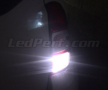 Paket LED-lampor (vit 6000K) backljus för Dacia Duster