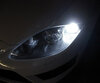 Paket LED-lampor till varselljus (xenon vit) för Seat Leon 2