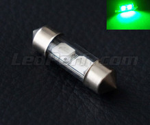 LED-spollampa 31 mm - gröna - C3W