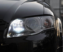 Paket med varselljus (xenon vit) för Audi A4 B7