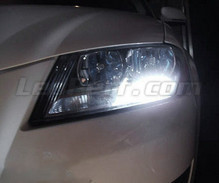 Paket med LED-lampor för varselljus (xenon vit) för Audi A3 8P Facelift