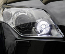Paket LED-varselljus (xenon vit) för Renault Laguna 3