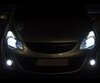 Paket med Xenon Effekt-lampor för Opel Corsa D strålkastare