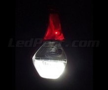 Paket LED-lampor (vit 6000K) backljus för Dacia Dokker