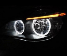 Paket LED-lampor Angel Eyes BMW 5-Serie E60 E61 Ph 2 (LCI) - Utan xenon original