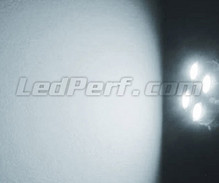 Paket LED-lampor till parkeringsljus (xenon vit) för Jaguar XJ8