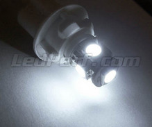 Paket LED-lampor till parkeringsljus (xenon vit) för Nissan Cube