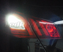 Paket LED-lampor (vit 6000K) backljus för Peugeot 308 II