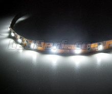 24V flexibelt band med 50cm (30 LED-chips cm) vit