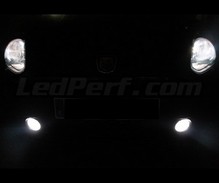 Paket med Xenon Effekt-lampor för Fiat Grande Punto / Punto Evo strålkastare