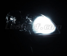 Paket LED-lampor till parkeringsljus (xenon vit) för Kia Ceed et Pro Ceed 1