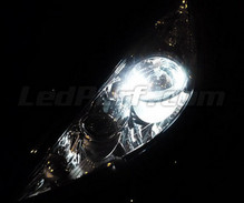 Paket LED-lampor till parkeringsljus (xenon vit) för Peugeot 207