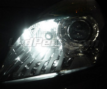 Paket LED-lampor till parkeringsljus (xenon vit) för Renault Scenic 3