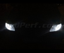 Paket LED-lampor till parkeringsljus (xenon vit) för Lancia Ypsilon
