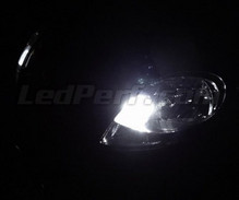 Paket LED-lampor till parkeringsljus (xenon vit) för Renault Trafic 2