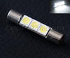 LED-spollampa SLIM 31mm - vita