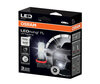 LED-lampor H8 Osram LEDriving Standard för dimljus