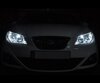 Paket LED-lampor till parkeringsljus (xenon vit) för Seat Ibiza 6J