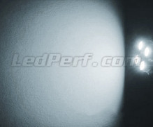 Paket LED-lampor till parkeringsljus (xenon vit) för Suzuki Grand Vitara
