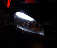 Paket LED-lampor till parkeringsljus (xenon vit) för Citroen C4 Picasso