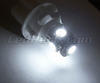 Paket LED-lampor till parkeringsljus (xenon vit) för Toyota Rav4 MK3