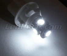 Paket LED-lampor till parkeringsljus (xenon vit) för Toyota Rav4 MK3