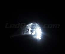 Paket med (xenon vit) LED-parkeringsljus Fiat för Grande Punto