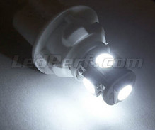 Paket LED-lampor till parkeringsljus (xenon vit) för Chevrolet Corvette C6