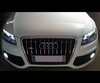 Paket lampor för dimljus Xenon effekt Audi Q5