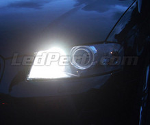 Paket med varselljus (xenon vit) för Audi A6 C6