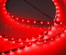 24V flexibelt band med 50cm (30 LED-chips cm) röd