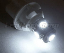 Paket LED-lampor till parkeringsljus (xenon vit) för Volkswagen Passat CC